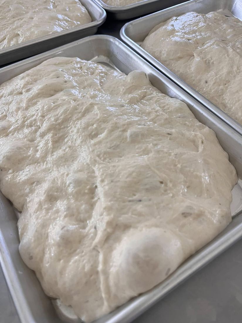 Trays of pale, bubbled dough proofing on a bakery bench.